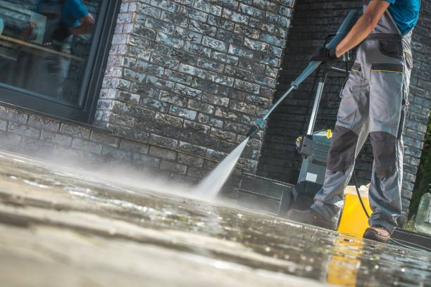 Best Soft Washing  in The Colony, TX