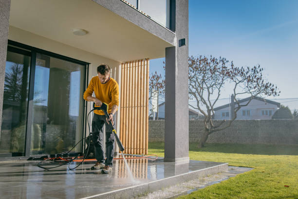 Best Roof Washing  in The Colony, TX